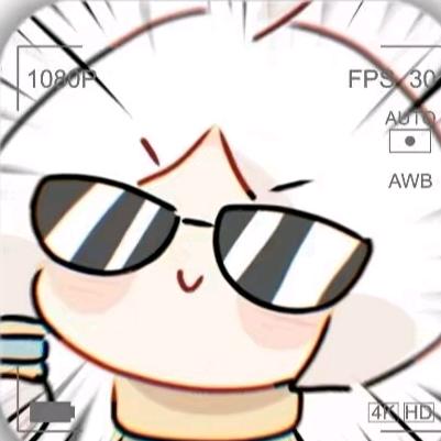 雪总