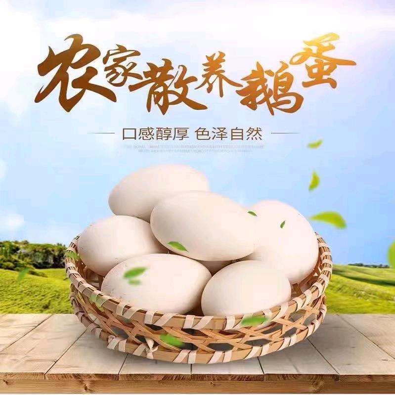 固安县惠金家庭农场