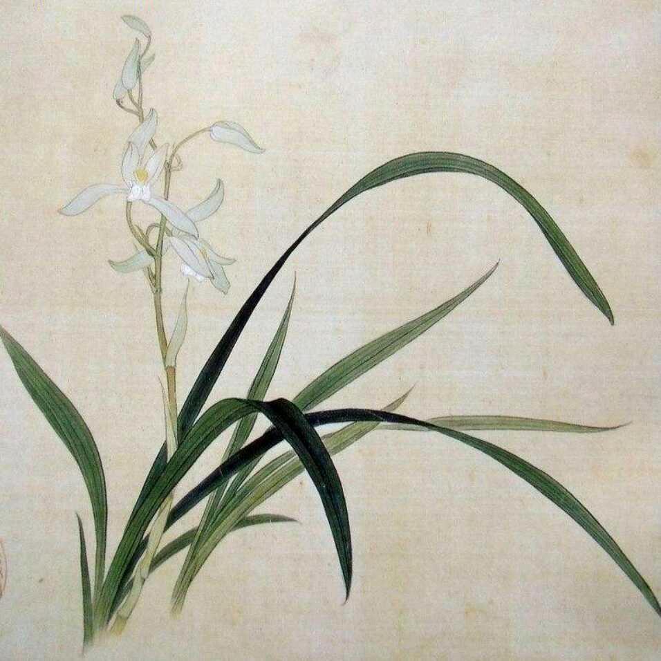 天玑教育妍晓老师