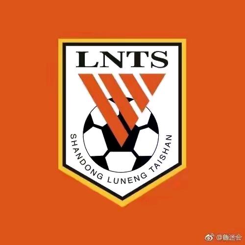 假如爱有   天意