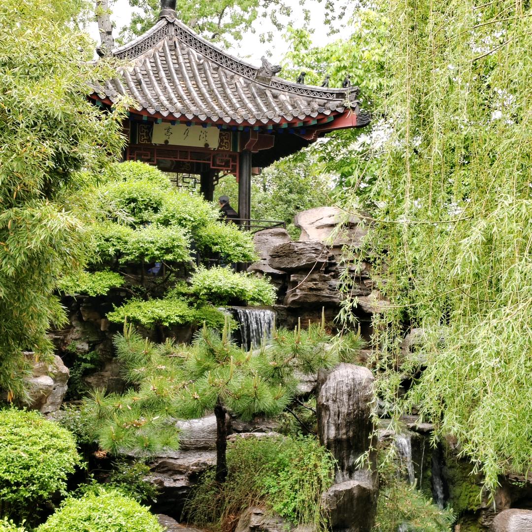 影子姐
