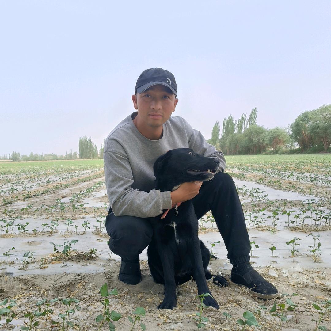 种地的朱小贝