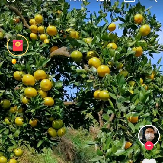 欧阳高峰特价水果批发
