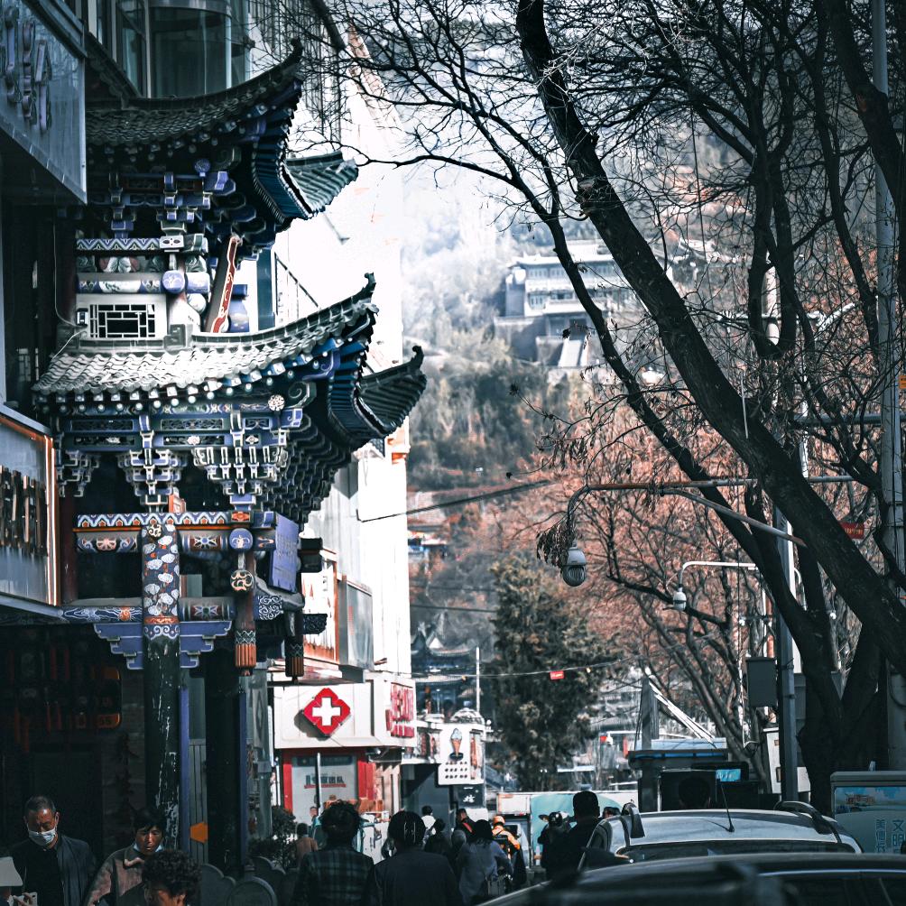 癞皮狗📷