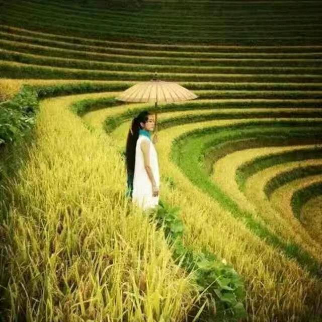 成功之道