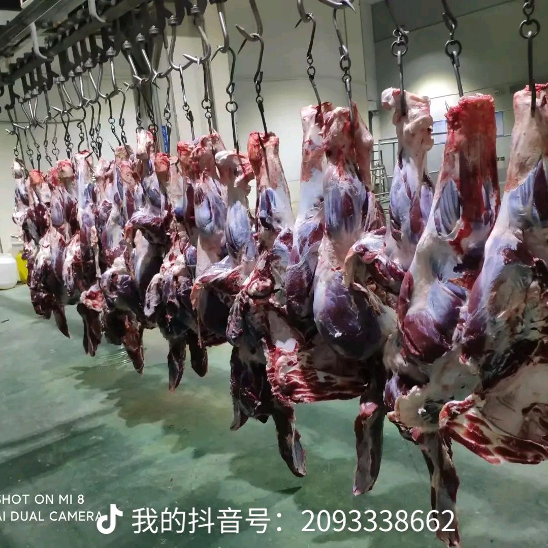 专业宰牛，新鲜牛肉