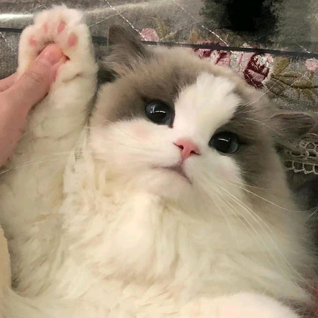 EVERY  HAPPY