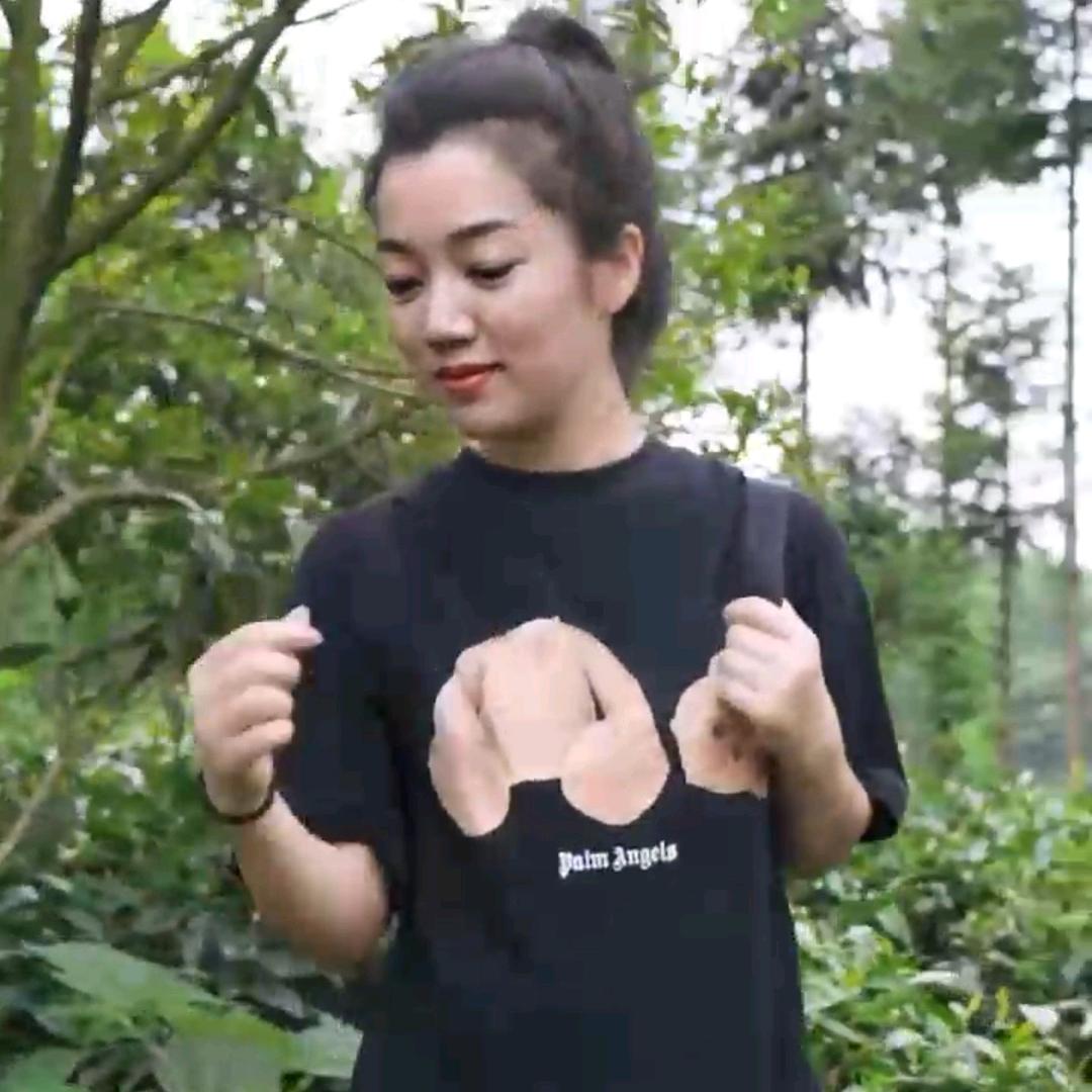 白鸽小号