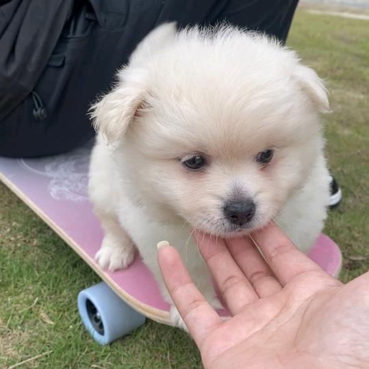 姚小姐~果果