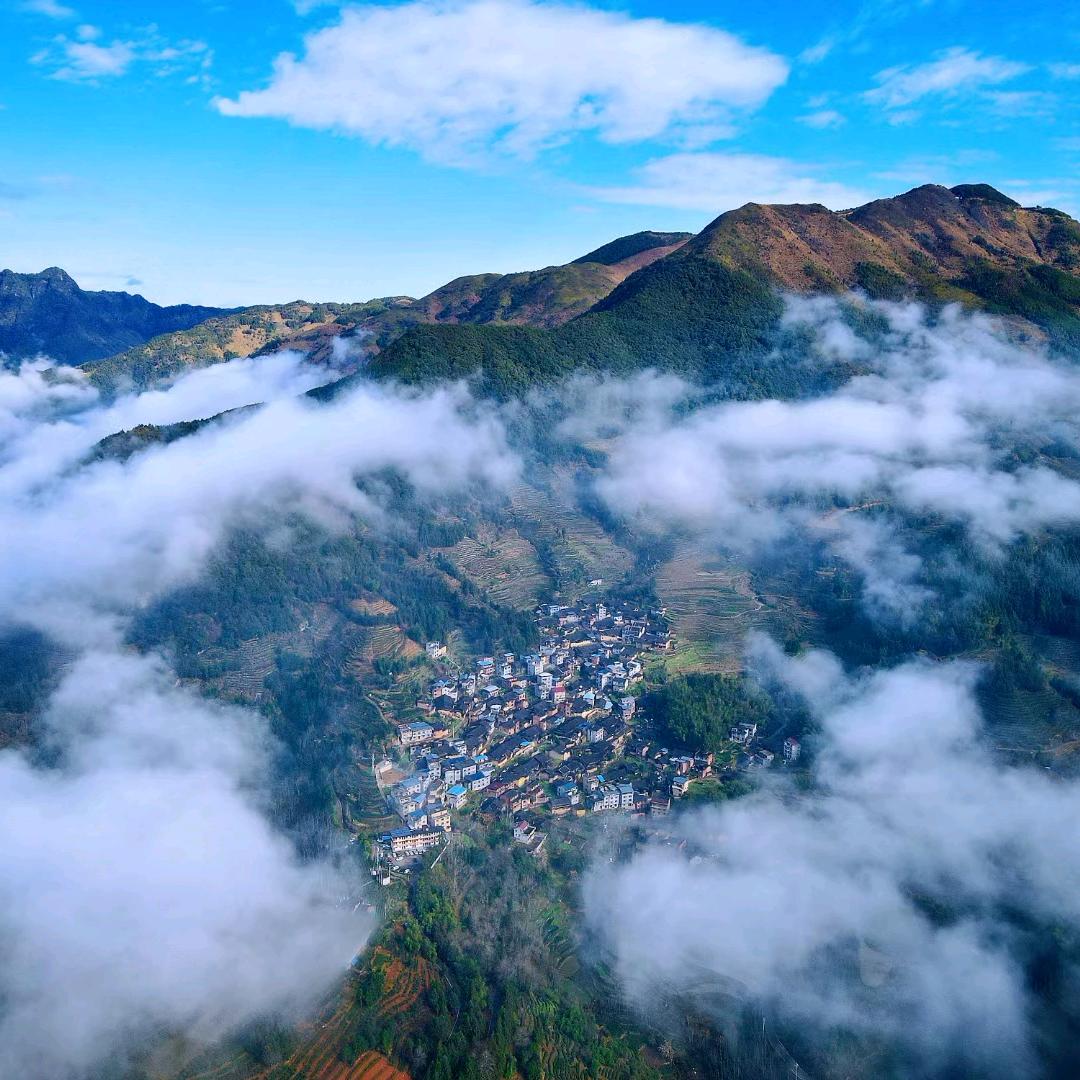 深山老林