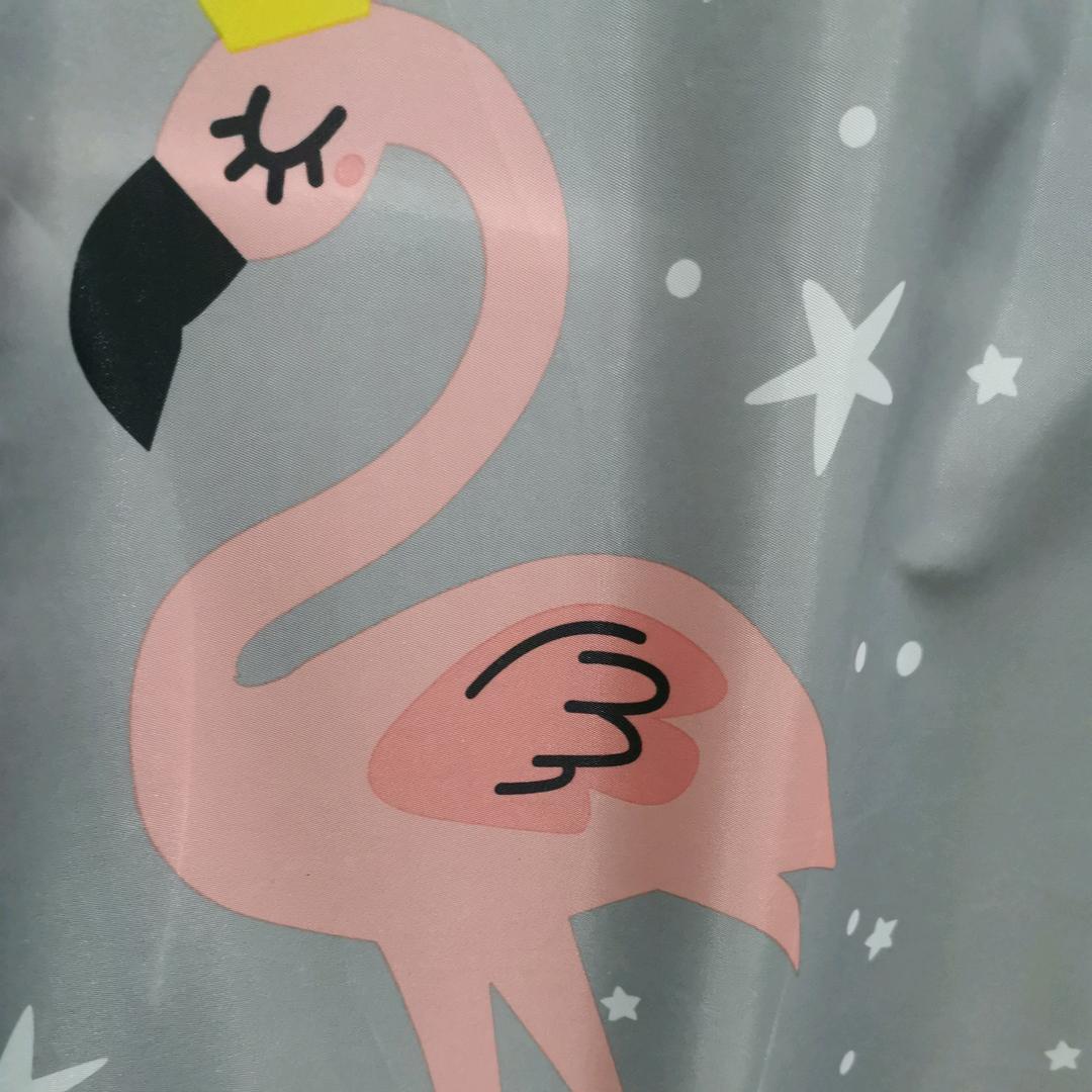 鸽子🕊🕊🕊🕊🕊🕊