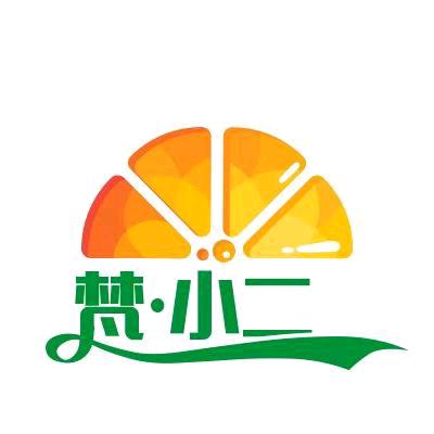 梵·小二调味品