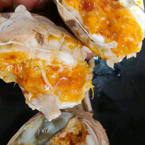 宿鸭湖水产批零