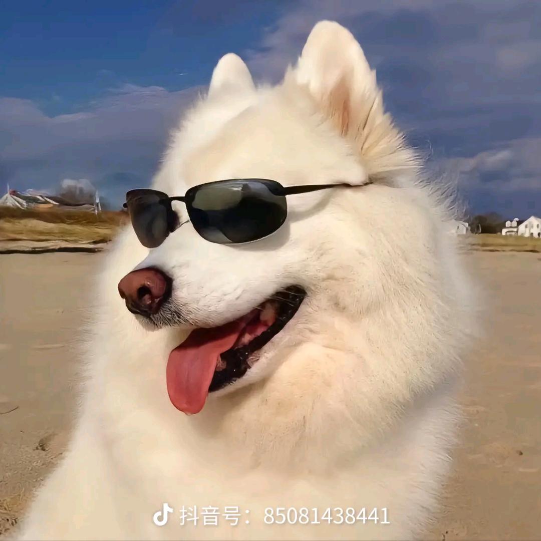 🌈小舒舒🌈