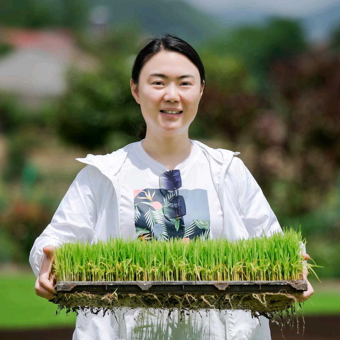 东巩寨子米 赵青