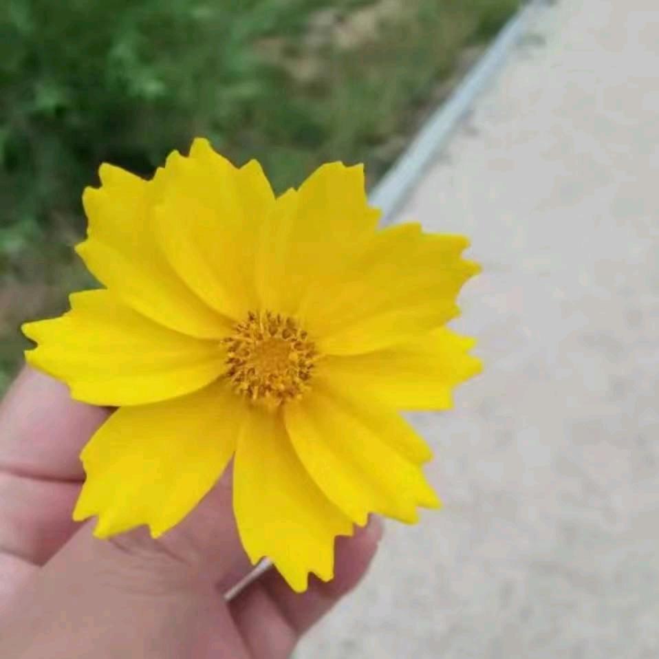 欣雨！
