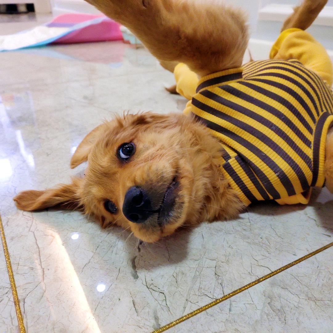 晴天的奇思妙想☀️