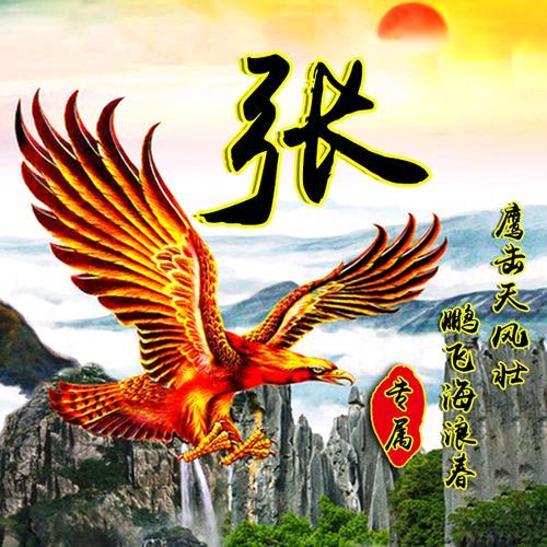 张清逸