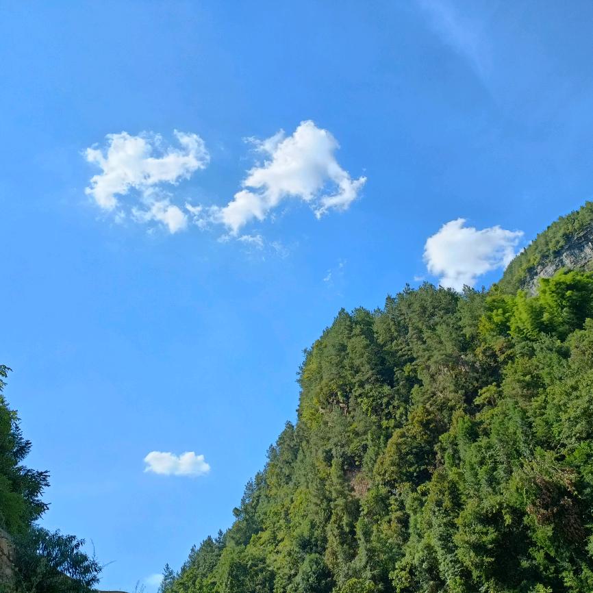 废品再生资源回收