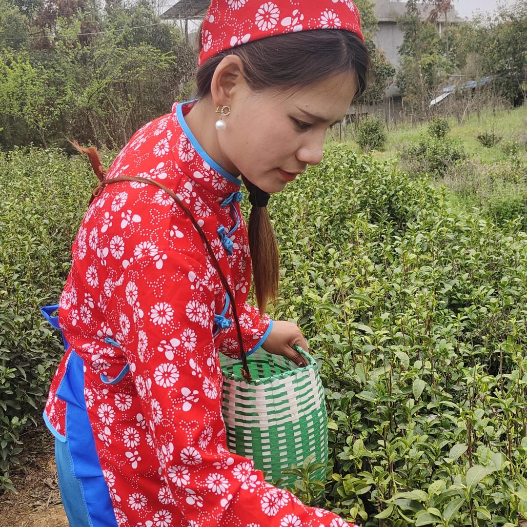 马蹄小姐姐