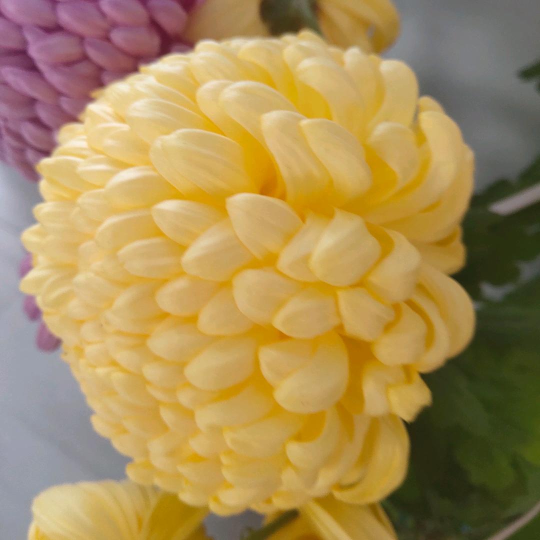 海阔天空19720912