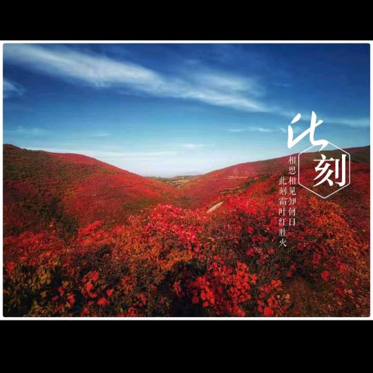 美丽的大海