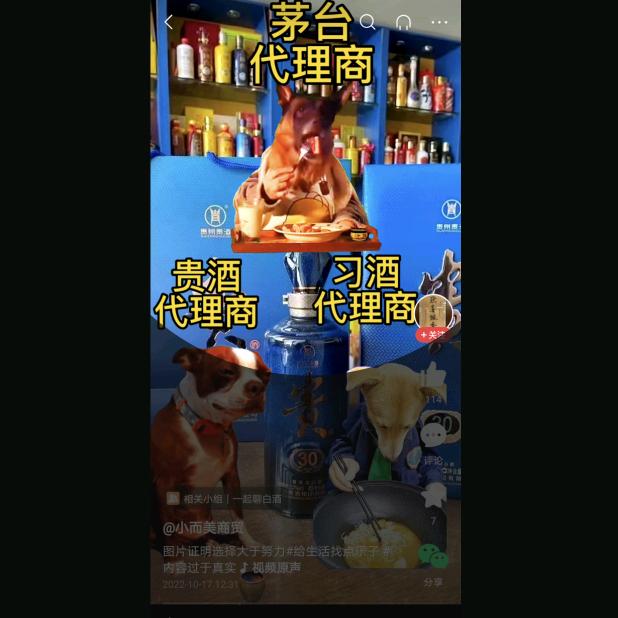 我来人间一趟