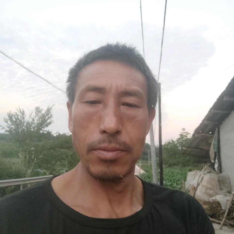 前陈似锦