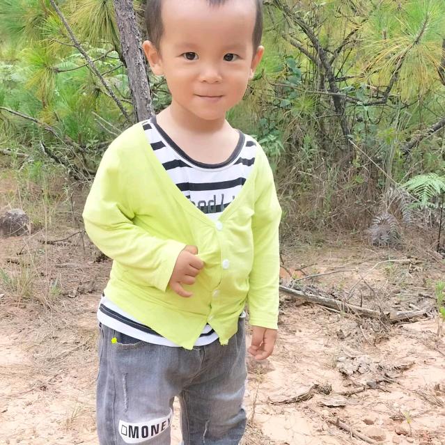 兰