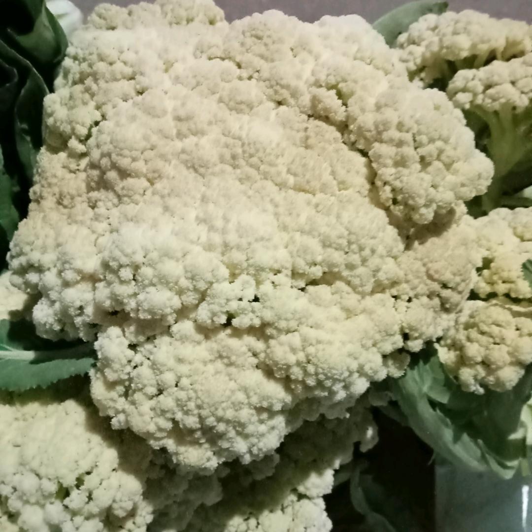 快乐每一天:龙池陈