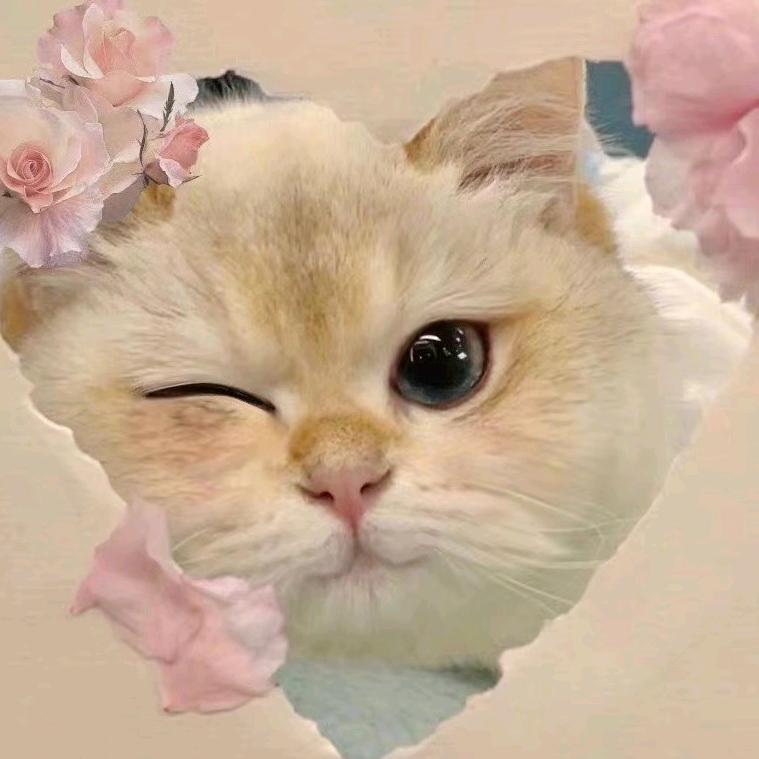 镇镇在摸鱼🐟