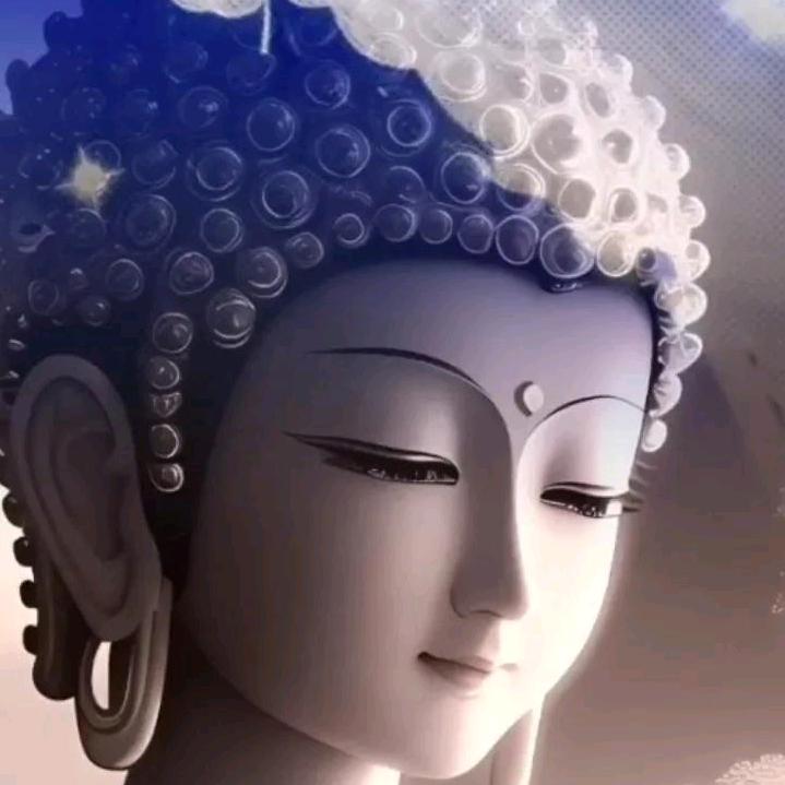 放下（拒私聊）