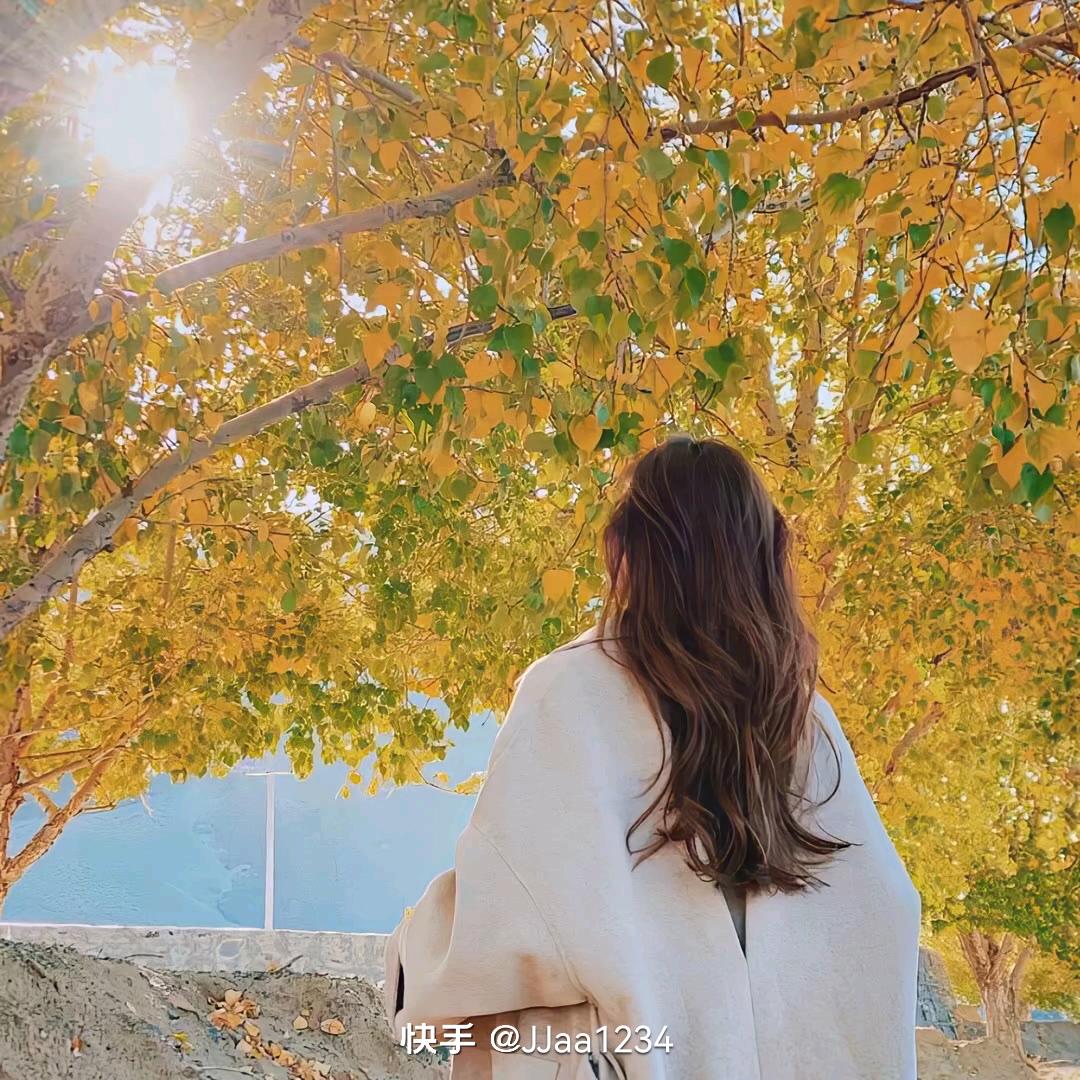 泡泡🦋