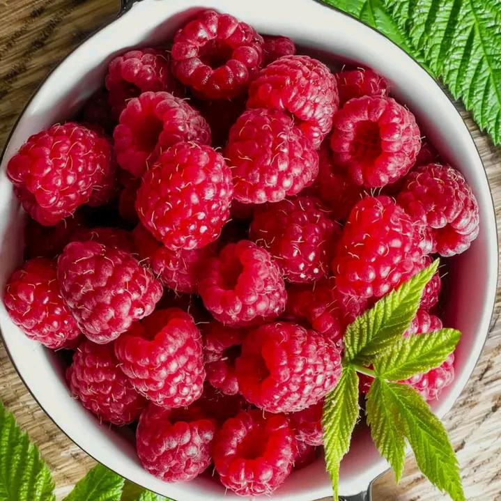 勤勤.