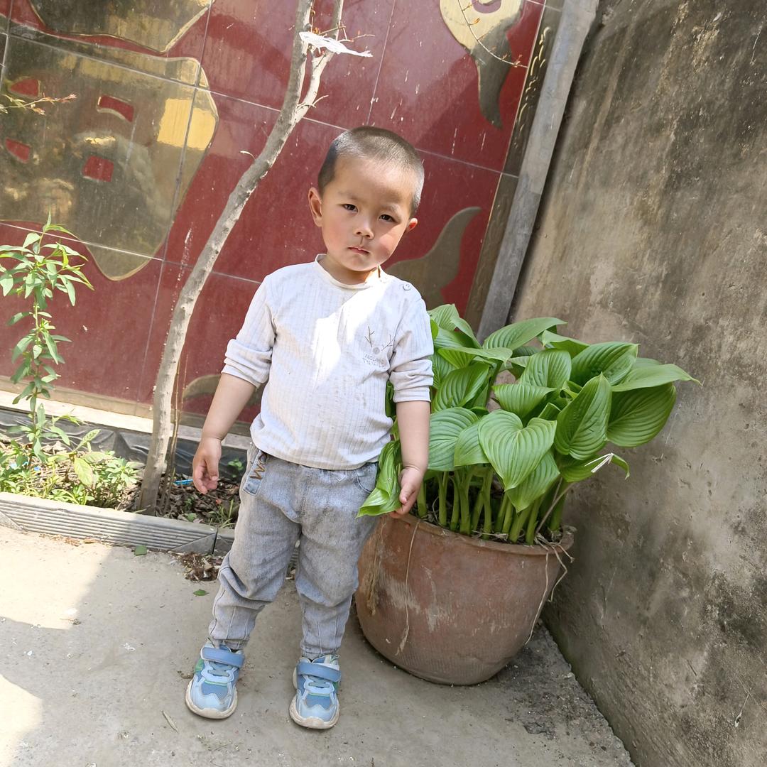 深海葬着鱼的泪