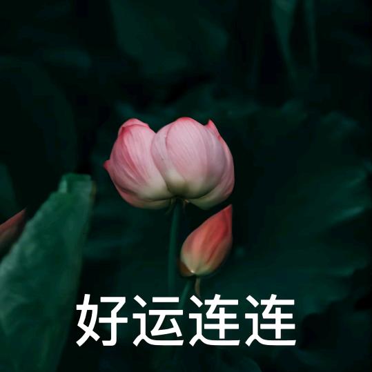 遍地是宝-