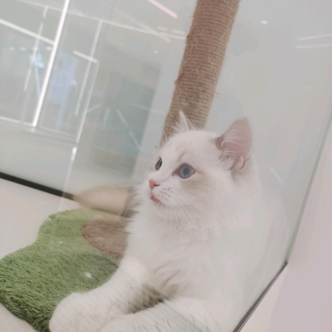 用户2579958022771来日可期