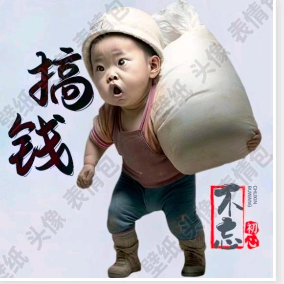 室内养兰