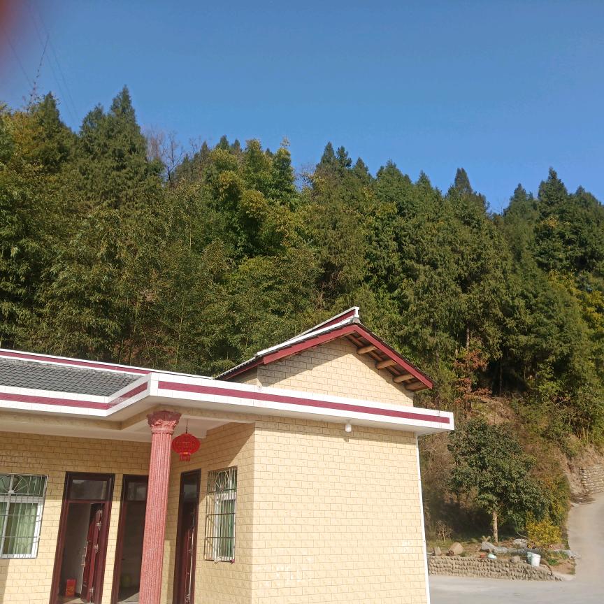 坝坝宴李老太太