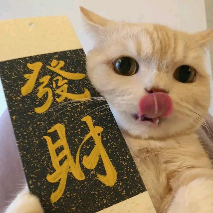 秋秋譚