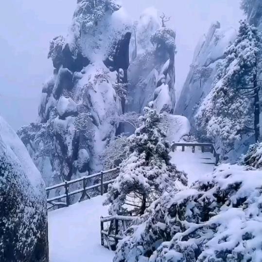 欣雅