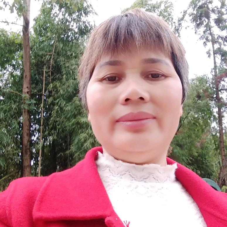 杨姐（首播筹备中）