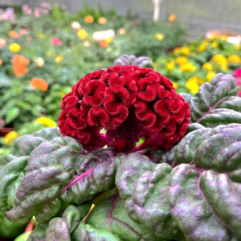 长寿国通电器维修