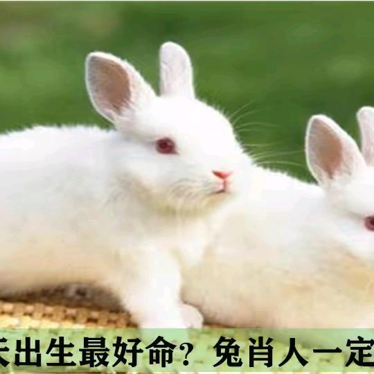 、人生如梦