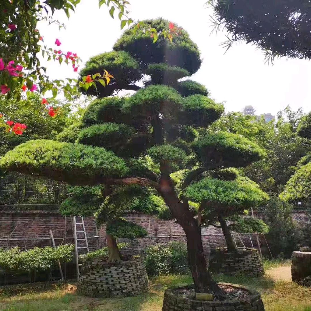 茗鑫园林