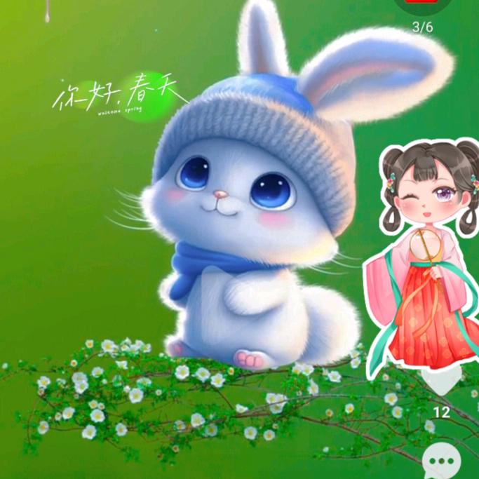 篮小兔🐇