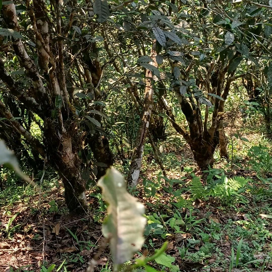 沉默1