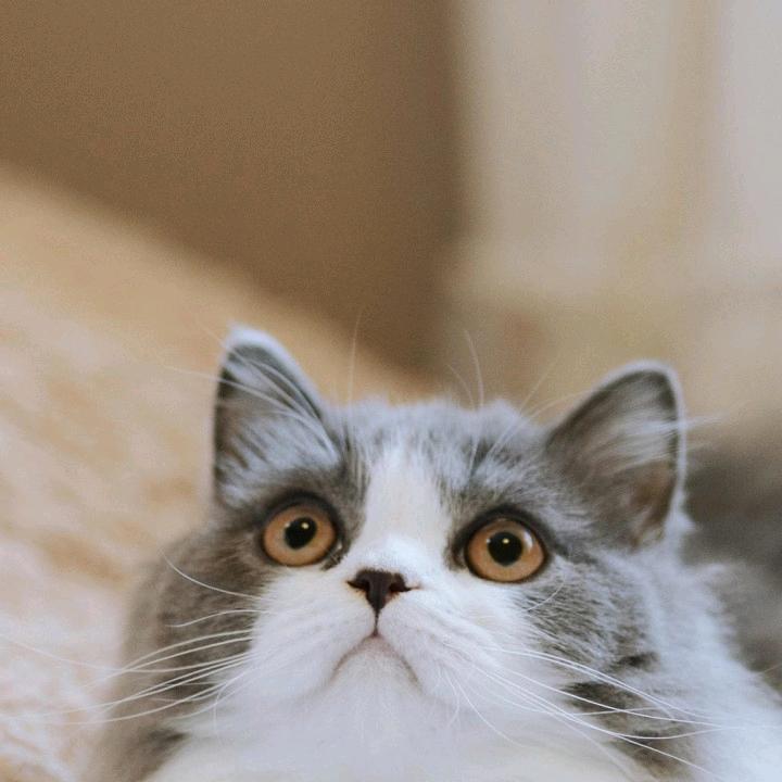 耐心等待