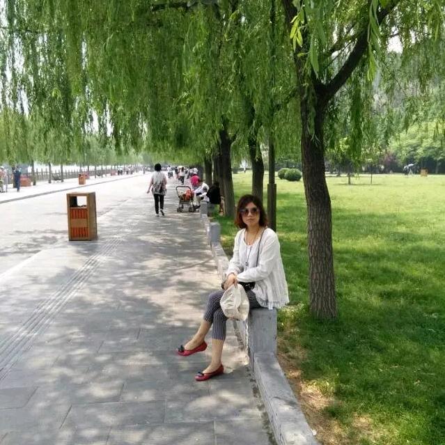 蔷薇