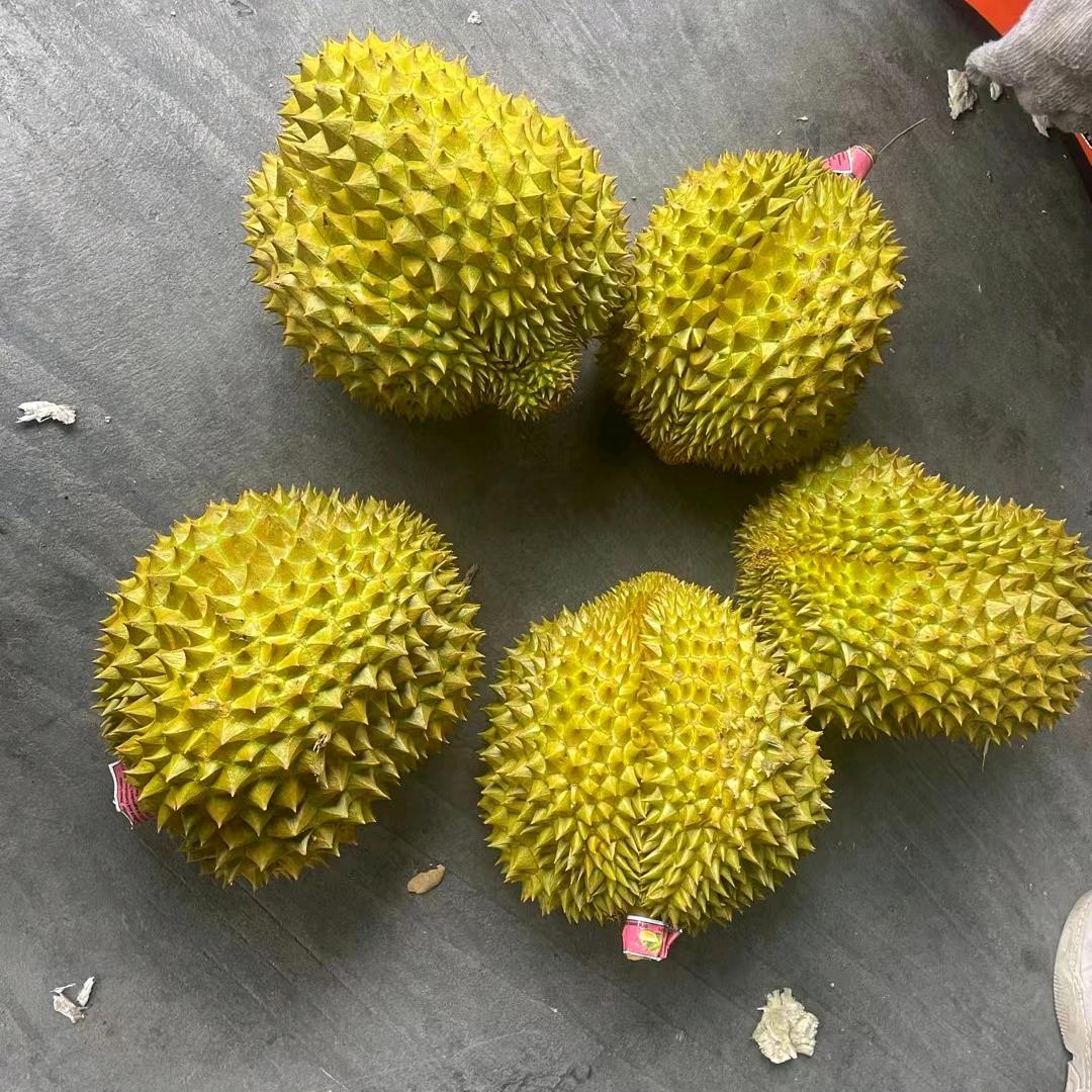 水果小子